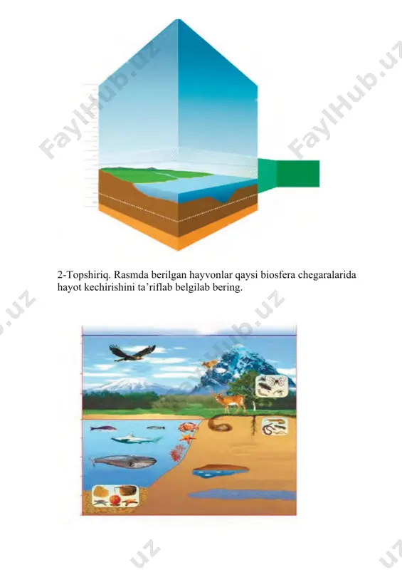 nlarning otilishi bilan bog‘liq. mutaxassis konchi. biogen moddalar – tirik org anizmlarning faoliyati mahsulotlari yoki ularning organik qoldiqlaridan hosil bo‘lgan moddalar yig‘indisidir.ularga neft, toshko‘mir, ohaktosh va atmosfera gazlarini misol qilish mumkin.bu moddalardan olinayotgan mahsulotlar bugungi kunda eng kerakli mahsulotlar sanaladi. geogrof olim. men biogen va abiogen hosil bo‘luvchi moddalar – bir vaqtning o‘zida tirik organizmlar faoliyati va abiogen jarayonlar natijasida hosil bo’ladigan tuproq, suv havzalarining tubi haqidagi ma’lumotlarni to’plab , tuproq turlari va ularda o’sa oladigan o’simliklarni aniqlab ekishni yo’lga qo’ymoqchiman. fizik olim. men radioaktiv moddalar – radioaktiv elementlar va ularning parchalanishidan hosil bo‘ladigan moddalar ustida ish olib boryapman va ular haqida ma’lumotlar yig’moqdaman. shu bilan birga tarqoq atomlar – ayrim elementlarning atomlari bo‘lib, tabiatda tarqoq holda uchraydigan moddalarni ham o’rganmoqdaman.. astronomik olim. mening asosiy ishim kosmik moddalar – kelib chiqishi kosmos bilan bog‘liq, biosferaga kosmosdan kirib keladigan moddalar: meteoritlar, kosmik chang zarralari ushtida ish olib borishdir. biologiya fanlari doktori: …