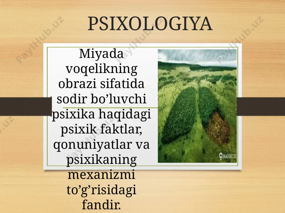 kinki, bu hodisalar bevosita bizning o’zimizga berilgan, ularni uzoqdan qidirish, mavhum analogiyalar qilish shart emas, boshqa bir tomondan, ular o’zaro bir birlari bilan bog’liq va umumiy qonuniyatlar, prinsiplarga bo’ysunadi. e’tiboringiz uchun raxmat! image5.png image6.png image7.jpeg image8.jpeg image9.jpg image3.png image4.png /docprops/thumbnail.jpeg