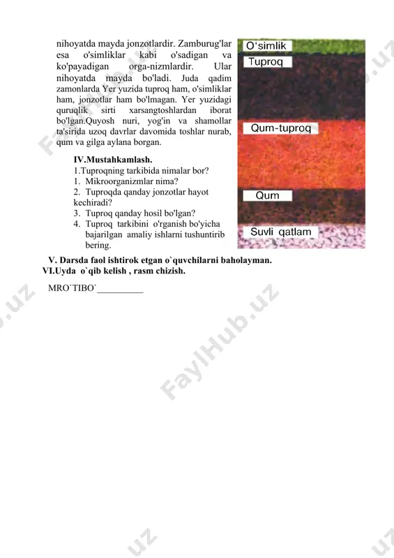 emir, ohaktosh, kalsiy, kaliy, fosfor kabi moddalarning kukuni tashkil etadi.tuproq tarkibidagi mikroorganizmlar turli bakteriya va zamburug'lardan iborat. bakteriyalar ko'zga ko'rin-maydigan nihoyatda mayda jonzotlardir. zamburug'lar esa o'simliklar kabi o'sadigan va ko'payadigan orga-nizmlardir. ular nihoyatda mayda bo'ladi. juda qadim zamonlarda yer yuzida tuproq ham, o'simliklar ham, jonzotlar ham bo'lmagan. yer yuzidagi quruqlik sirti xarsangtoshlardan iborat bo'lgan.quyosh nuri, yog'in va shamollar ta'sirida uzoq davrlar davomida toshlar nurab, qum va gilga aylana borgan. iv.mustahkamlash. 1.tuproqning tarkibida nimalar bor? 1. mikroorganizmlar nima? 2. tuproqda qanday jonzotlar hayot kechiradi? 3. tuproq qanday hosil bo'lgan? 4. tuproq tarkibini o'rganish bo'yicha bajarilgan amaliy ishlarni tushuntirib bering. v. darsda faol ishtirok etgan o`quvchilarni baholayman. vi.uyda o`qib kelish , rasm chizish. mro`tibo`__________ image1.png