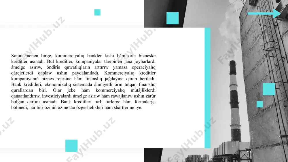 bank kreditleriniń turleri hám formalari - Page 5