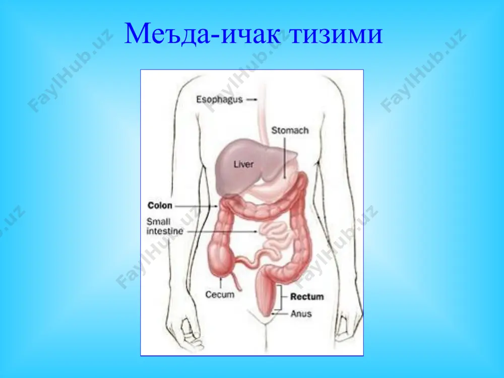 огенези уп экзоген сабаблари уп эндоген сабаблари i. биохимик компонентлар 1. оит гормонлари стимуляцияси 2. липолитик ферментлар фаоллиги 3. ферментлар мутоносиблигини бузилиши 4. оралик махсулотларини йигилиши 5. яллигланиш медиаторларини ишлаб чикилиши 6. калликреии-кинин тизими ва тромбин тизимини ишга тушиши уткир шишли панкреатит ii. иммунологик компонентлар 1. гуморал ва хужайравий иммунитетни пасайиши 2. аутоаллергик жараёнлар тукималар биохимиясини узгариши ва тукималар бутунлигини бузилиши протеолитик ферментовлар активлиги (трипсиногенни трипсинга утиши, эластазани активлиги ва томирлар деворини шикасти) iii. микроблар компоненти ёгли пнз гемморрагик пнз йирингли пнз аъзо ишемияси шишли панкреатит патологик анатомия геморрагик панкреатит патологик анатомия йирингли панкреатит патологик анатомия ўткир панкреатитнинг клиник манзараси оғриқ - эпигастрал соҳада ўткир панкреатитнинг шишли шаклида кучсизрок, панкреонекрозда кучли бўлади. овқат-ланишга мароми бузилганда қўзийди ва сезилади. оғриқ кўп ҳолларда қориннинг юқори қисмини эгаллайди ва белбоғси-мон тус олади (лобачев симптоми). оғриқларнинг бел соҳасига иррадиацияси (мейо- робсон белгиси), ўнг курак остига (боас), ўнг елка соҳасига, ўнг ўмров остига иррадиацияси (мюсси …