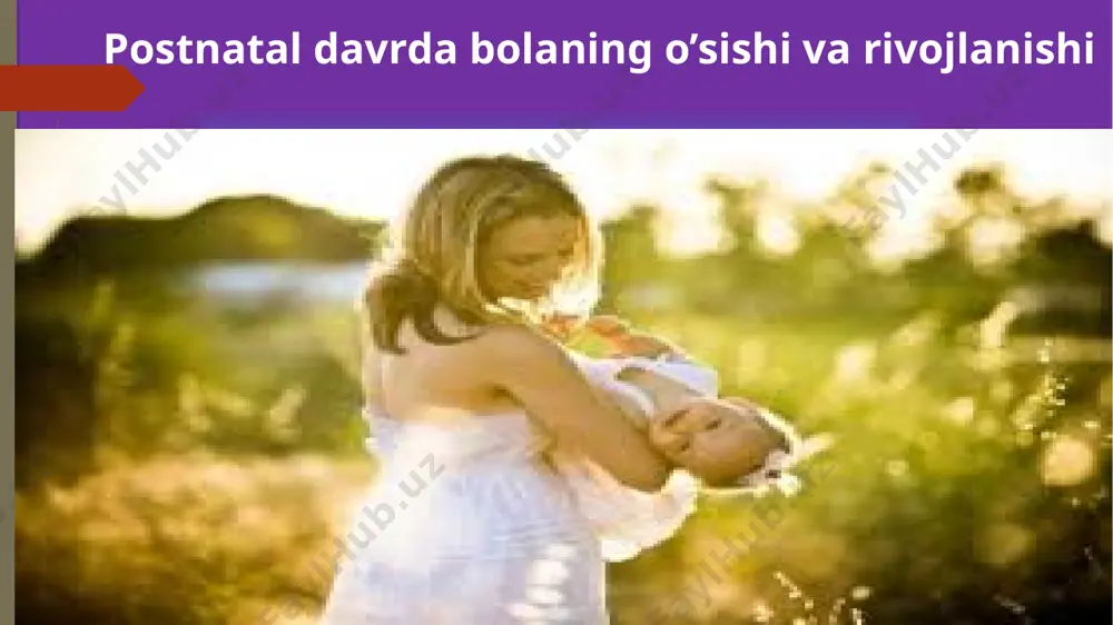 postnatal ontogenezda oliy nerv faoliyatining tuzilishi - Page 5