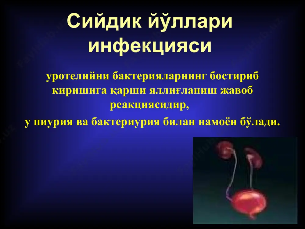 - орхит 20 сийдик йуллари инфекцияси (клиник кечиши буйича) асоратланмаган сйи: бу термин беморда структур ва функционал жихатдан сийдик йуллари нормал булган холларда кузатиладиган сийдик йуллари инфекциясини таърифлашда кулланилади. асоратланган сйи: бу термин беморда инфекциянинг асоратларини ривожланишига ёки даволашнинг самарасиз кечишига олиб келиши мумкин булган сийдик йулларида структур ва функционал аномалиялар булган холларда кузатиладиган сийдик йуллари инфекциясини таърифлашда кулланилади асоратланган сйи пайдо булишига сабаб омиллар: кекса ёш. госпитал инфекция. сийдик йулларига куйилган дренажлар. кандли диабет. иммунодефицит холатлар. сийдик йулларида анатомик ёки функционал патологиялар мавжудлиги. хомиладорлик. 22 инфекциянинг асоратларини ривожланишига олиб келиши ёки даволаш самарадорлигини сусайтириши мумкин булган омиллар: доимий катетерлар, стентлар ёки сплинтларнинг (уретрал, уретерал, нефростомик) мавжудлиги, ковукни даврий катетерлаш. постмикцион колдик сийдик > 100 мл. турли сабабли обструктив уропатия (масалан, инфравезикал обструкция, нейроген ковук), сийдик йулларидаги тошлар, хосилалар ва бошкалар. 23 инфекциянинг асоратларини ривожланишига олиб келиши ёки даволаш самарадорлигини сусайтириши мумкин булган омиллар: ковук-сийдик найи рефлюкси ёки сийдик йулларидаги …