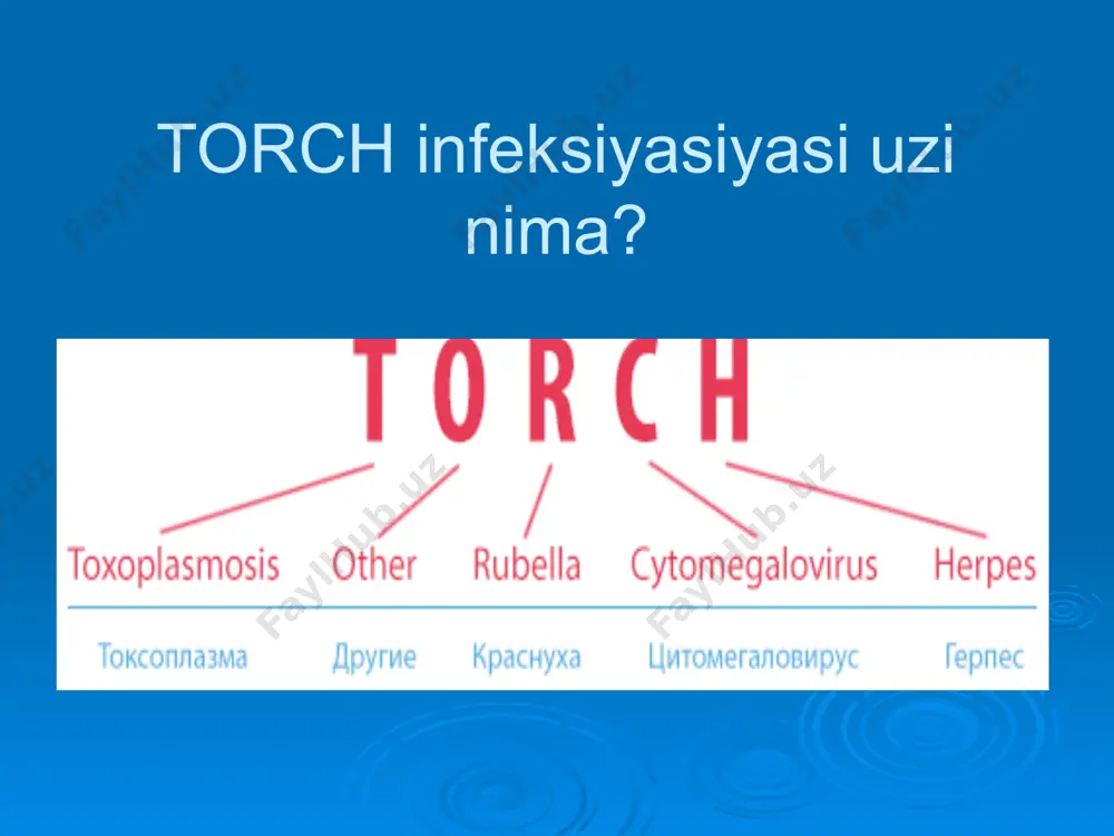 o’lishi mumkin. bemorlarda ichki a’zolar,bosh miya, mns shikastlanishi,trombositopeniya,gepatoliyenal sindrom,gepatit, zotiljam va boshqalar kuzatiladi.homilador ayollar sitomegaliya bilan og’risa (ayniqsa 3 oyligida) uning virusi homilaga o’tishi natijasida bola tushishi,o’lik tug’ilishi yoki og’ir tug’ma nuqsonlar kuzatilishi mumkin. gerpetik infeksiya bu qator kasalliklar guruhini o’z ichiga oladi,hozirgi vaqtda fanda 90ga yaqin gerpes viruslariga ta’rif berilgan:ulardan 5tasi odamdan ajratib olingan.ogv1, ogv2,smv, vzv(suvchechak/suvli temiratka), ebv(epshteyn-barr).gerpetik toshma odatda og’iz bo’shlig’i atrofida, lablarda, burun qanotlarida uchraydi. bemorlar zararlangan sohasining achishishi va terining qichishishidan shikoyat qiladi. infeksiya manbai bemor va virus tashuvchilar hisoblanadi. virus asosan havo-tomchi va jinsiy aloqa orqali yuqadi.stomatitlarda virusning 1-reproduksiyasi og’iz va tomoqning shilliq qavat epiteliylarida amalga oshadi.virus limfa orqali qonga o’tadi.bu patogenez gerpes virusining i tipiga mansub bo’lib,gingiostomit,faringit,aftoz,stomatit,gerpetik ekzema,ketorokonyuktivit,meningoensefalit kasalliklarini keltirib chiqaradi. gerpes virusining ii tipi jinsiy aloqa orqali yuqib,genital gerpes va chaqaloqlar gerpesi(tug’ilayotganda zararlanadi) kasallik qo’zg’otadi.bundan tashaqari virusning bu tipi bachodon bo’yni o’smasining rivojlanishiga sabab boladi. boshqa infeksiyalar torch tushunchasiga kiradigan infeksiyalarga har xil …