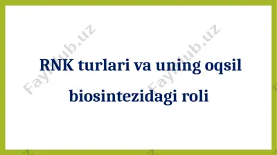 rnk turlari va uning oqsil biosintezidagi roli — PPTX