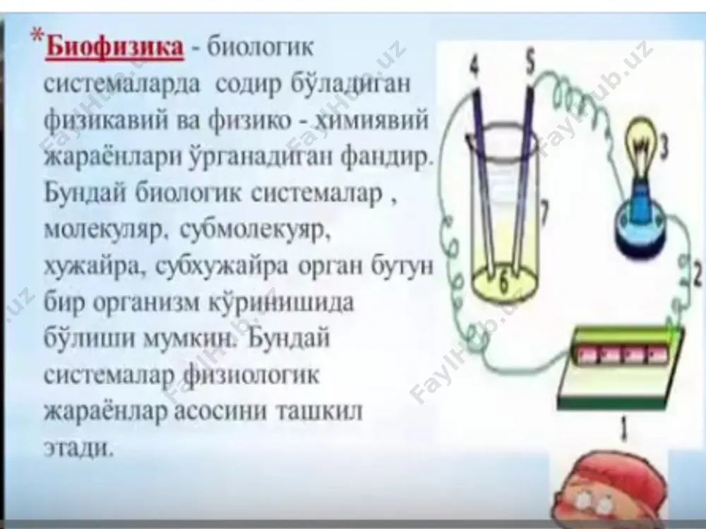 biofizika fanining tibbiyotdagi ahamiyati - Page 2