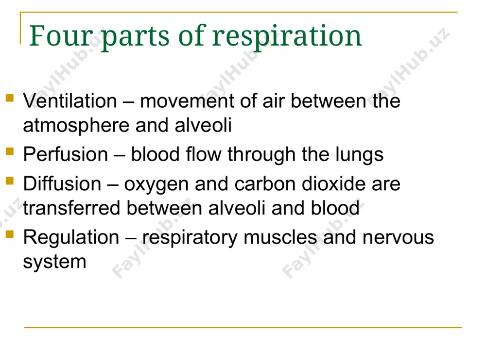 ion of airway smooth muscle with subsequent bronchodilation. relatively selective for beta 2 (pulmonary) receptors. beta 2 agonist side effects: nervousness, restlessness, tremor, chest pain and palpitations. nursing implications: assess lung sounds, pulse and blood pressure. monitor pulmonary function tests. observe for bronchospasm – listen for wheezing. beta2 agonist rescue drug – short acting beta2- adrenergic agonist used for prevention and treatment of bronchocontriction. onset 15 to 30 minutes peak 60 to 90 minutes duration 3-6 hours how provided provided in extended-release tablet albuterol syrup nebulizer or dry powder inhaler often used in exercise induced asthma take 15 minutes before exercise albuterol albuterol inh - nebulizer directions for use of inhaler shake well exhale (breathe out) through your nose while keeping mouth shut close lips around mouth piece take slow, deep breath through the mouthpiece as you press down on container to release the medication hold breath for 5-10 seconds …