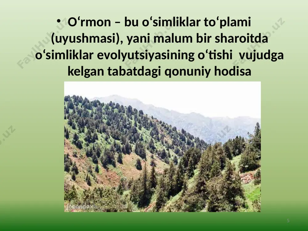 o’rmon xujaligini tashkil etish - Page 5