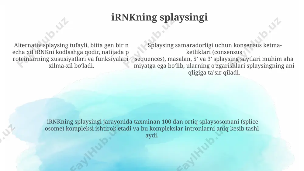 irnk ning protsessingi jarayonini tushuntirish - Page 5