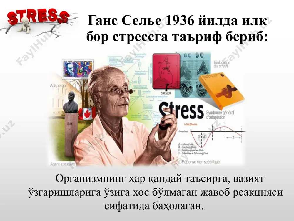 stress stressning turlari ushbu tushunchaning ikki xil ma'nosi mavjud – “ijobiy his-tuyg'ular chaqiradigan stress” va “organizmni safarbar qiladigan kuchsiz stress”. organizm kurasha olmaydigan salbiy stress. u insonning sog'lig'iga putur etkazadi va og'ir kasalliklarni keltirib chiqarishi mumkin. stressdan ayniqsa immun tizimi aziyat chekadi, chunki jismoniy va psixologik stress davrida immun hujayralarining ishlab chiqilishi tushib ketadi. 01 0 2 0 3 04 qo'zg'atuvchi ning ko'pligi ( shovqin, shoshilinch muddatli ishlar, yuqori talabchanlik) qo'zg'atuvchilar ning etishmasligi ( bir xillik, talabning engilligi, ijtimoiy izolyatsiya, aloqalarning etishmasligi) nizolar ko'rinishida (irodaning kuchsizligi, ehtiyojlar va ularning qondirilishi orasida muvofiqlikning yo'qligi, shubhalanish ) vaqtinchalik boshqaruvning buzilishi (hayotning tartibsizligi, hayotda va ishda qat'iy kun tartibining yo'qligi). stressning ta'sirlari “men va stress” mashqi insonni irodasi vertolyotning parragiga o'xshaydi , agar u sinmasa o'zidan bir necha barobar katta yukni ko'tara oladi ! ko'riladigan masalalar : rahbarlarda stressga bardoshlilikning psixologik mexanizmlari rahbarlarning kasbiy faoliyatida stressning yuzaga kelishiga ta'sir ko'rsatuvchi omillar rahbarlarda kasbiy …
