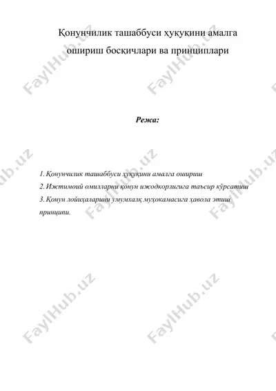 қонунчилик ташаббуси ҳуқуқини амалга ошириш босқичлари ва принциплари — DOCX