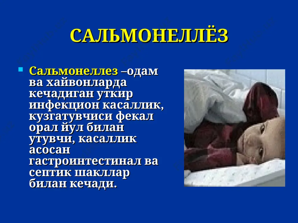 л давомида s. typhimurium ташки мухитда нисбатан чидамлилиги хисобига таркалган . эпидемиология сальмонеллез касаллигини юкиш йуллари катталарда ва ёши катта болаларда – алиментар, озик овкат махсулотлари оркали, гуштли ва тухум махсулотларни истеъмол килганда. болаларда сальманеллёз касаллигини юкиш йули контакт -маиший соскалар, каровчи ёши катта одамларнинг ифлос куллари, уйинчоклар оркали. эпидемиология одамларни хайвонлардан тугрима-тугри – парвариш вактида – зарарлангани маълум. охирги йилларда «госпитал» сальмонеллез таркалиши купайиб бормокда, бунда юкиш манбаи касал одамлар (болалар, медперсонал, оналар) хисобланади. айтиб утилган учоклар аста секин ривожланиб узок сакланиб туради, асосан бир ёшгача булган болалар орасида учрайди, огир клиник кечишга ва улим холатларга олиб келади. патогенез salmonella ичакда парчаланиши мнс и вегетатив нерв система эндотоксин оит шиллик кавати симпатико-адренал системани стимуляцияси генерализ. паралич вазамотров гиперсекреция перистальтикани кучайиши кон томирлар тонуси ва утказувчанликни ошиши, шиллик кавати шиши ва кон кетиш белгилари артериолларни торайиши патогенез эндотоксин аденилатциклаза синтез цамф хужайра ичи ферментатив жараённи кучайиши сув ва электролиларни чикиши …