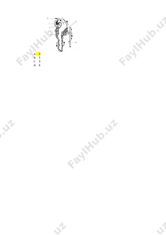 nefronning funktsiyalari - Page 4