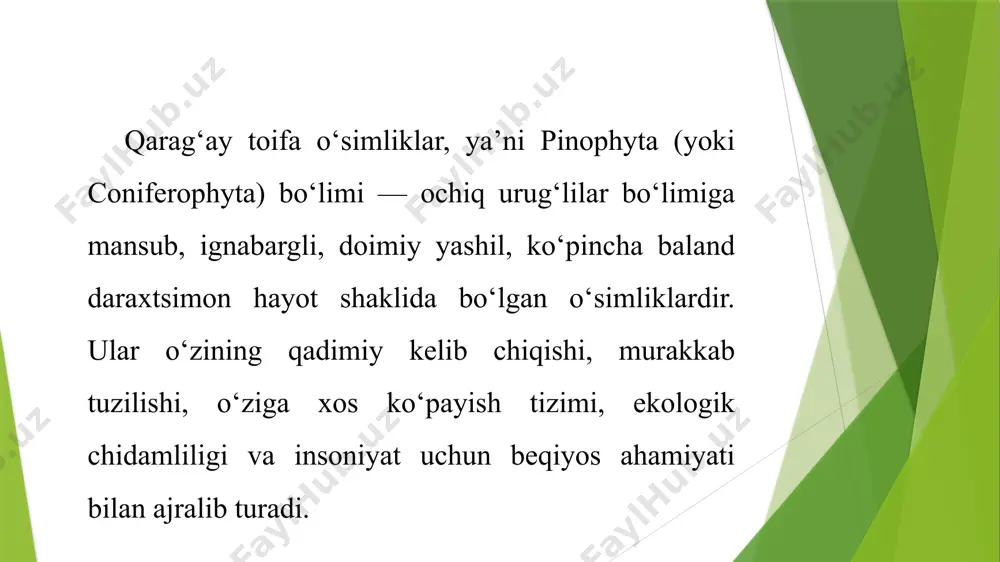 ani — ildiz, poya, barg, shuningdek, generativ organlar — ko‘payish shishaklari va urug‘lar — o‘ziga xos tuzilma va funksiyalarga ega bo‘lib, o‘simlikning uzoq umr ko‘rishi, ekologik barqarorligi va iqlimga moslashuvchanligini ta’minlaydi. ildiz tizimi qarag‘aylarda odatda yo‘g‘on asosiy ildiz va undan tarqalayotgan kuchli yon ildizlar mavjud. bu ildizlar ko‘pincha chuqur o‘sadi va tuproqning pastki qatlamlaridan nam va mineral moddalarni o‘zlashtirish imkonini beradi. ildiz tizimi skelet ildizlar orqali yer osti strukturasini mustahkamlab turadi, shuningdek, ayrim turlarda mikoriza bilan simbioz holatda yashaydi. mikoriza — zamburug‘ va ildiz orasidagi o‘zaro foydali aloqadir. bu aloqada ildiz zamburug‘ga organik moddalar beradi, zamburug‘ esa o‘simlikka fosfor va azot singari elementlarni yetkazib beradi. poya (naysimon tanasi) qarag‘ayning tanasi — kuchli rivojlangan, yog‘ochli, ko‘p yillik, uzunasiga o‘suvchi organ bo‘lib, odatda to‘g‘ri va silindrsimon shaklda bo‘ladi. poyaning po‘stlog‘i qalin, smola (qatron) kanallari bilan to‘ldirilgan. ichki qismida ksilema (o‘tkazuvchi to‘qima) yaxshi rivojlangan. yiliga hosil bo‘ladigan yillik halqalar bo‘yicha daraxtning yoshi aniqlanadi. …
