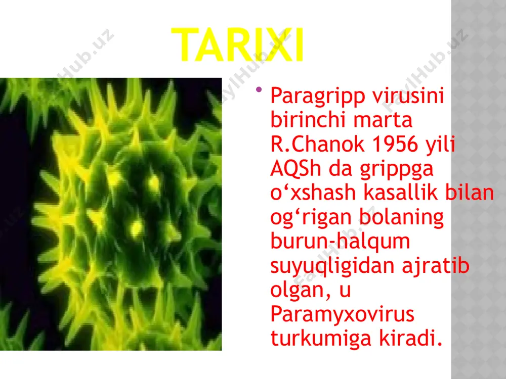 tlar qonga tushib organizmning umumiy zaharlanishiga olib keladi. epiteliylarning parchalanishi natijasida himoya qiluvchi to‘siq buziladi va patogen yoki shartli-patogen bakteriyalar kirib ikkilamchi infeksiya rivojlanadi. kattalarda ko’rinishi yengil ko‘rinishdagi laringit kasalliklarini keltirib chiqaradi. bolalarda ko’rinishi faringit, bronxeolit, laringotraxeobronxit, bo‘g‘ma, zotiljam, immunitet. kasallikdan so‘ng tip maxsus gumoral immunitet hosil bo‘lib, bir necha yil saqlanadi. qon zardobida komplementni bog‘lovchi, virusni neytrallovchi antigemagglyutin xossali antitelolar topiladi. hosil bo‘lgan immunomodulinlar ichida sekretor slga antitelolari muhim ahamiyatga ega, chunki ular mahalliy immunitetning asosiy omili hisoblanadi. laboratoriya tashxisi. virusologik, serologik usullardan hamda immunoflyuoressensiya reaksiyasidan foydalaniladi. virusni ajratib olishda maymun yoki odam embrionining bir qavatli kulturalari qo‘llaniladi. to‘qima kulturasidagi virus gemadsorbsiya reaksiyasi yordamida aniqlanadi. ajratib olingan virus shtammlari to‘qima kulturalarida nr, gatr va kbr yordamida identifikatsiya qilinadi. paragripp kasalliklariga serologik tashhis qo‘yish uchun bemorning juft zardoblari bilan gatr va kbr lar qo‘yiladi. hozircha yo‘q. simptomatik davo qo‘llanilaniladi. maxsus profilaktikasi va davosi. hozircha yo‘q. simptomatik davo qo‘llanilaniladi. давосида тетрациклин …