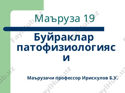 буйраклар патофизиологияси — PPT