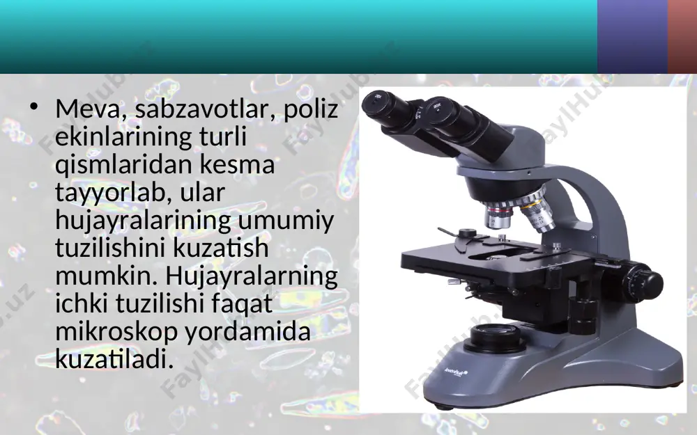 kattalashtirib ko‘rsatadigan asboblar. 5 - sinf - Page 5