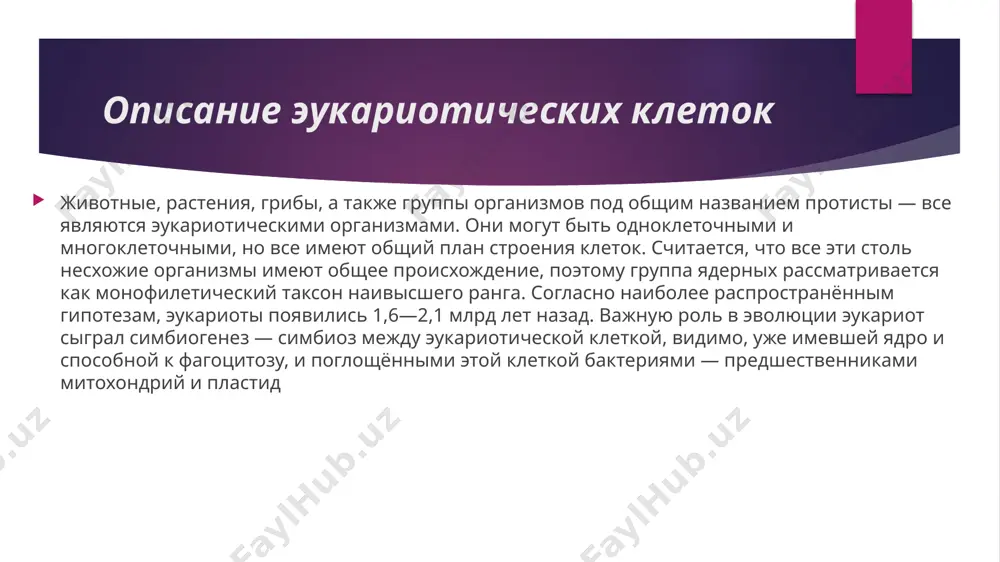 эукариотические клетки - Page 5