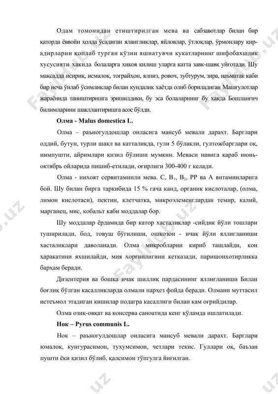 . ибн сино нок одам ошкозони мускулини мустахкамлаши, мева ва қоқисини яра ва жарохатларга боғлашни тавсия этган. нокнинг қайнатмасидан чанкокликни, йўтал ва ичбуругни колдириш учун фойдаланилади. нок шарбати ва кайнатмаси сийдик йўлидаги тошларни хайдайди. одамга дармон багишлайди. симоб, қўргошин заҳари билан заҳарланган кишиларни зарарсизлантириш хусусиятига эга. нок меваси озиқ-овқат ва консерва саноатида кенг кўламда ишлатилади. дарахтининг ёғочи эса саноатда ишлатилади. олча – cerasus vulgaris l. олча - раъногулдошлар оиласига мансуб мевали дарахт бўлиб, бўйи 8 м гача боради. дарахти сершох бўлиб, барглари элипссимон, ўткир учли, четлари аррасимон қиррали. гуллари оқ ёки пушти ранг соябон тўпгулда тўпланган. меваси думалок данакли, мазаси нордон чучук, ранги оч қизилдан тўқ қизилгача бўлади. апрель ойида гуллаб, меваси асосан июнь ойида пишади. олча меваси таркибида инсон саломатлиги учун фойдали бўлган 15 % га қанд, органик кислоталар, витамин с, в1, рр, каротин, фолат кислотаси, ошловчи ва бўёқ моддалар билан бир қаторда калий, темир,б марганец, мис, кобальт сингари …