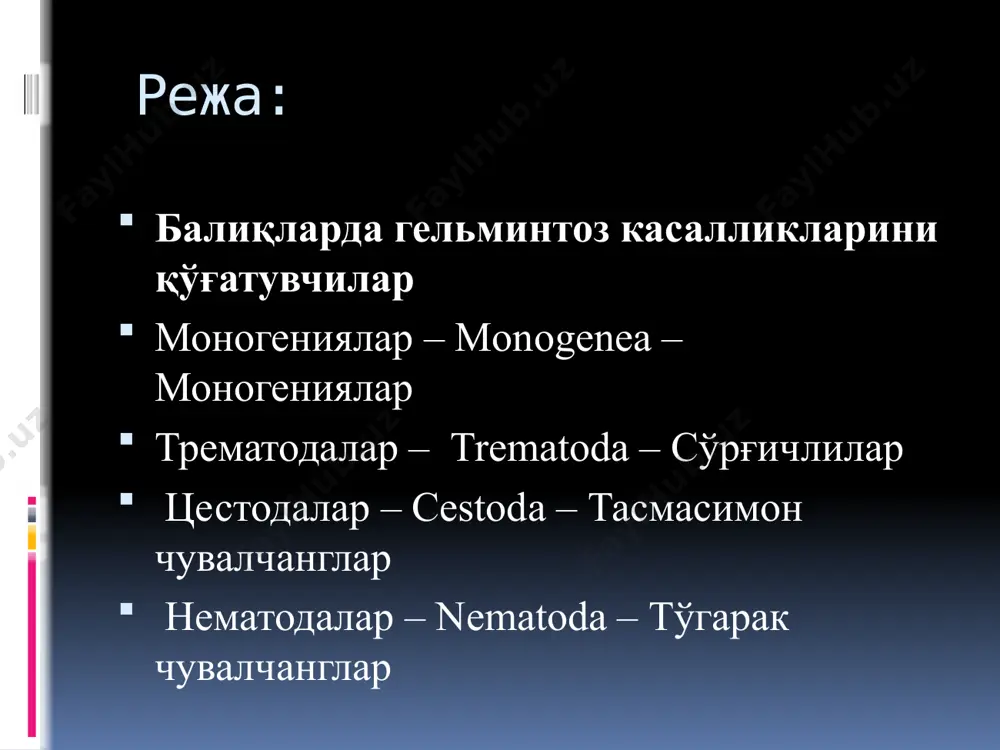 'ichlilar - monogcnea (van benedcn, 1858) bycbowsky, 1937. kenja sinf. polyonchoinea bychowsky, 1937. turkum. dactylogyridea bychowsky, 1937. oila. dactylogyridae bychowsky, 1933. avlod. dactylogyrus diesing, 1850. dactylogyrus vastator nybelini, 1924. baliq kasallaklari 2 ga bo'linadi: yuqimli kasalliklar yuqimli bo'magan kasalliklar yuqimli kasalliklar o'z navbatta 2 ga bo'linadi: invazion kasalliklar- hayvonot olami keltirib chiqaradi infektsion kasalliklar- o'simliklar dunyosi keltirib chiqaradi dactylogyrus extensus mueller et van clave, 1932. turkum. gyrodactylidea bycgowsky, 1937. oila. gyrodactylidea van beneden et hesse, 1863. kenja oila. gyrodactylinae van beneden et hesse. avlod. gyrodactylus nordmann, 1832. gyrodactylus elegans nordmann, 1832. trematodalar – trematoda – so'rg'ichlilar sinfi yassi chuvalchanglar – plathelmintes tipi tasmasimon chuvalchang bothriocephalus opsariichthydis baliq ichagida trematodalarning tashqi ko'rinishi tsestodalar – cestoda – tasmasimon chuvalchanglar turkum. tasmasimonlar – pseudophyllidea carus, 1863. oila. bothriocephalidae blanchard, 1849. avlod. bothriocephalus rudolphi, 1808. bothriocephalus opsariichthydis yamaguti, 1934. oila. ligulidae claus, 1985 (tasmasimonlar). kenja oila. ligulinae monticelli et grety, 1891. avlod. ligula bloch, …