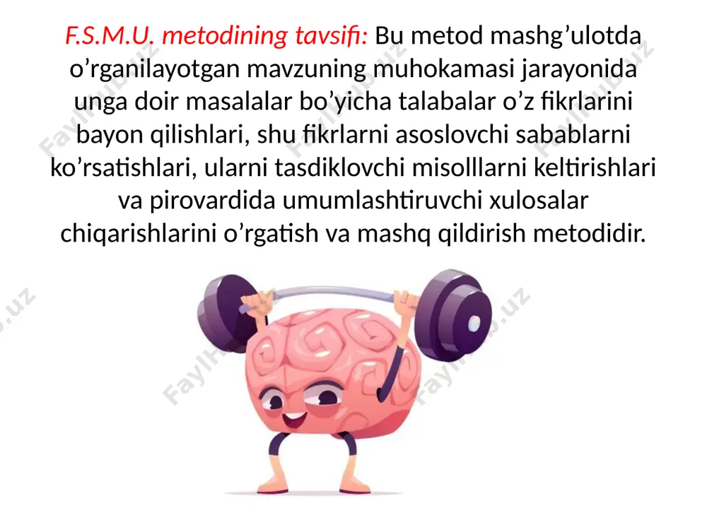 f.s.m.u. metod - Page 2