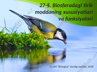 biosferadagi tirik moddaning xususiyatlari va funksiyalari. 11 - sinf — PPTX