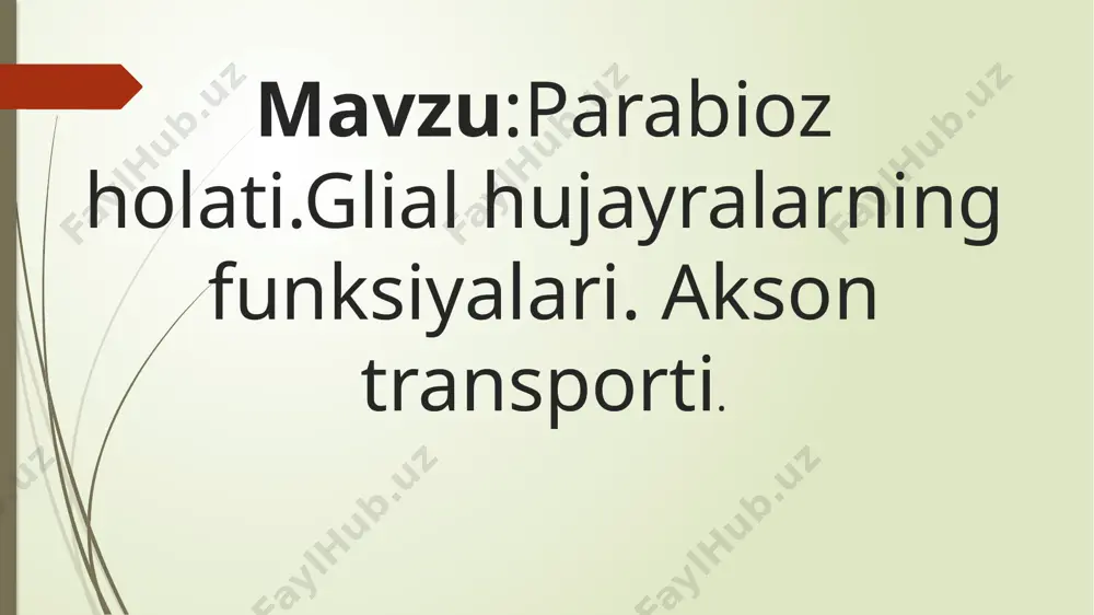 n. anterograd transport (oldinga yo‘nalgan) yo‘nalishi: hujayra tanasidan (soma) akson uchigacha. vazifasi: mitoxondriyalar, vezikulalar (neyrotransmitter bilan), oqsillar, fermentlar va boshqa komponentlarni transport turlari tezligiga qarab: tez transport (fast transport):200–400 mm/kun tezlikda.vezikulalar, mitoxondriya, sinaptik pufakchalar tashiladi. sekin transport (slow transport):0.2–5 mm/kun.strukturaviy oqsillar (masalan, tubulin, neyrofilamentlar) va fermentlar tashiladi. muhim:akson transporti mikronaychalar (mikrotubulalar) orqali amalga oshadi.ushbu tizimda uzilishlar bo‘lsa (masalan, genetik mutatsiyalar, toksinlar ta’siri), bu neyrodegenerativ kasalliklarga olib kelishi mumkin (masalan, alzheimer, als). xulosa akson transporti neyronlar hayoti uchun zarur bo‘lgan moddalarni tashuvchi tizim bo‘lib, bu jarayon asab hujayralarining sog‘lom ishlashi uchun muhimdir. parabiyoz bu qayta tiklanadigan, funksional asab faoliyatining buzilishi bo‘lib, og‘ir stress yoki shikastdan so‘ng yuzaga keladi. e’tibotingiz uchun rahmar! image1.png image2.png image3.png image4.png image5.png image6.png /docprops/thumbnail.jpeg
