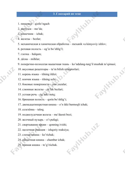 anatomik glosariy bo‘yicha mahsulot — DOCX