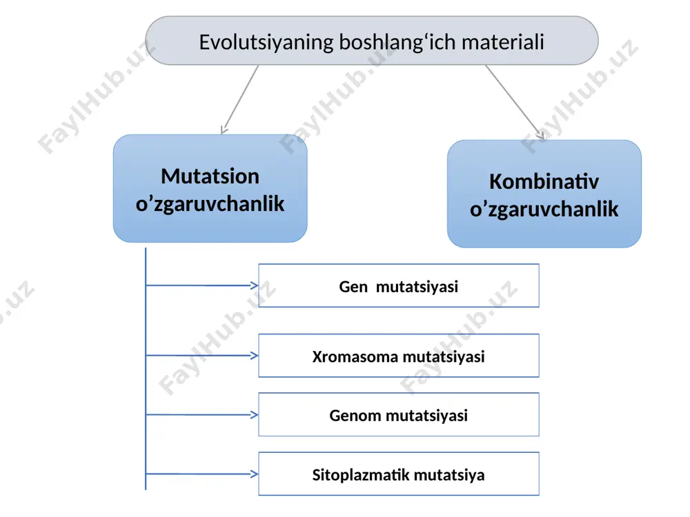 at mutant gomozigota borligi, boshqa populyatsiya tarkibida u tamoman uchramasligi, uchinchilarida esa dominant hamda retsessiv allel formalar borligi aniqlandi. populyatsiya genofondidagi genlarning tasodifiy o‘zgarishi genlar dreyfi deyiladi. genlar dreyfi. populyatsiya to`lqini — boshlang`ich evolyutsiya omili sifatida. tur yoki populyatsiyada bo`g`indan-bo`g`inga o`tgan sari organizmlar sonining o`zgarib turishi «hayot to`lqini» yoki «populyatsiya to`lqini» deb ataladi. tur yoki populyatsiyaga mansub organizmlarning son jihatdan o`zgarib turishining aniq sabablari turli-tumandir. ular muhitning biotik va abiotik omillariga ta’luqlidir. * populatsiya to’lqini ob-havo qulay bo‘lgan yillari ayrim hayvon, o‘simlik turiga kiruvchi organizmlarning ko‘payib ketishi, hayot uchun noqulay bo‘lgan yillarda esa keskin kamayib ketadi. har bir populyatsiyaga kiruvchi organizmlar ham bunday hodisadan mustasno emas. bahorda yog‘insochin ko‘p bo‘lgan yillarda bir yillik, ko‘p yillik o‘t o‘simliklar — boychechak, yaltirbosh, qo‘ng‘irbosh, qoqiyo‘t, ituzum avj olib o‘sib, ko‘p urug‘ beradi. natijada ular bilan oziqlanuvchi hasharotlar, o‘txo‘r hayvonlar soni ham ko‘payib ketishi mumkin. hasharotlarning, o‘txo‘r hayvonlarning ko‘payishi o‘z navbatida hasharotxo‘r qushlar, yirtqich …