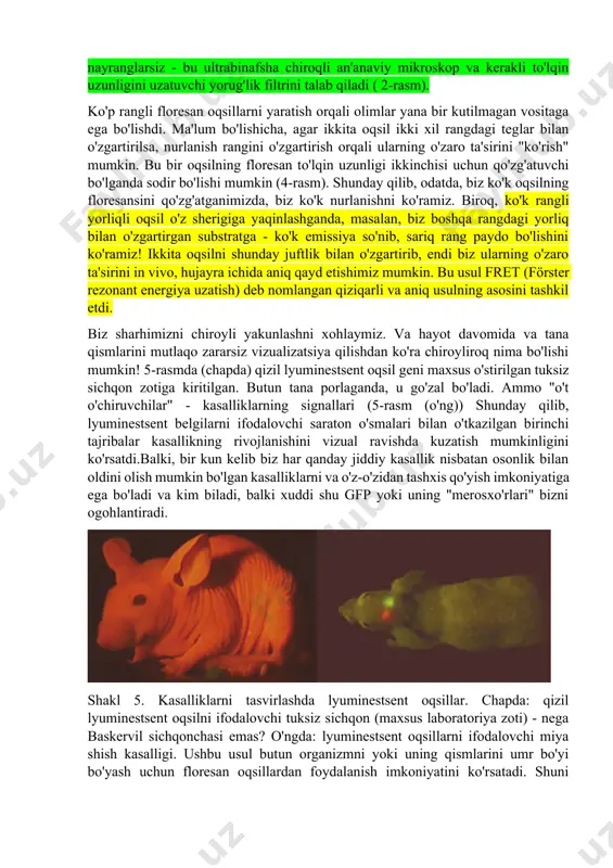 tlanarli edi - tirik hujayra ichida ma'lum turdagi oqsillarning harakatini real vaqt rejimida kuzatish mumkin edi va hech qanday maxsus hiyla-nayranglarsiz - bu ultrabinafsha chiroqli an'anaviy mikroskop va kerakli to'lqin uzunligini uzatuvchi yorug'lik filtrini talab qiladi ( 2-rasm). ko'p rangli floresan oqsillarni yaratish orqali olimlar yana bir kutilmagan vositaga ega bo'lishdi. ma'lum bo'lishicha, agar ikkita oqsil ikki xil rangdagi teglar bilan o'zgartirilsa, nurlanish rangini o'zgartirish orqali ularning o'zaro ta'sirini "ko'rish" mumkin. bu bir oqsilning floresan to'lqin uzunligi ikkinchisi uchun qo'zg'atuvchi bo'lganda sodir bo'lishi mumkin (4-rasm). shunday qilib, odatda, biz ko'k oqsilning floresansini qo'zg'atganimizda, biz ko'k nurlanishni ko'ramiz. biroq, ko'k rangli yorliqli oqsil o'z sherigiga yaqinlashganda, masalan, biz boshqa rangdagi yorliq bilan o'zgartirgan substratga - ko'k emissiya so'nib, sariq rang paydo bo'lishini ko'ramiz! ikkita oqsilni shunday juftlik bilan o'zgartirib, endi biz ularning o'zaro ta'sirini in vivo, hujayra ichida aniq qayd etishimiz mumkin. bu usul fret (förster rezonant energiya uzatish) deb nomlangan …