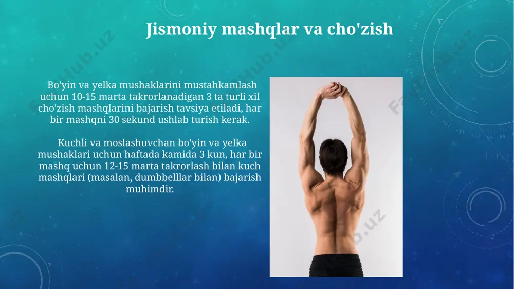 bo'yin va yelka muskullari haqida taqdimot - Page 4