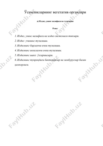 ўсимликларнинг вегетатив органлари — DOCX
