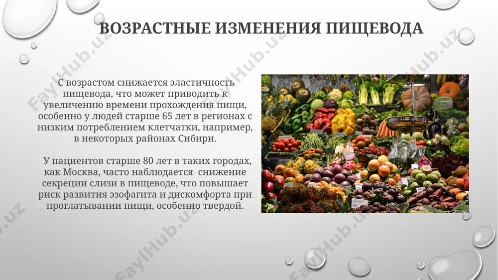 vozrastnye osobennosti pishchevaritelnoy sistemy - Page 5
