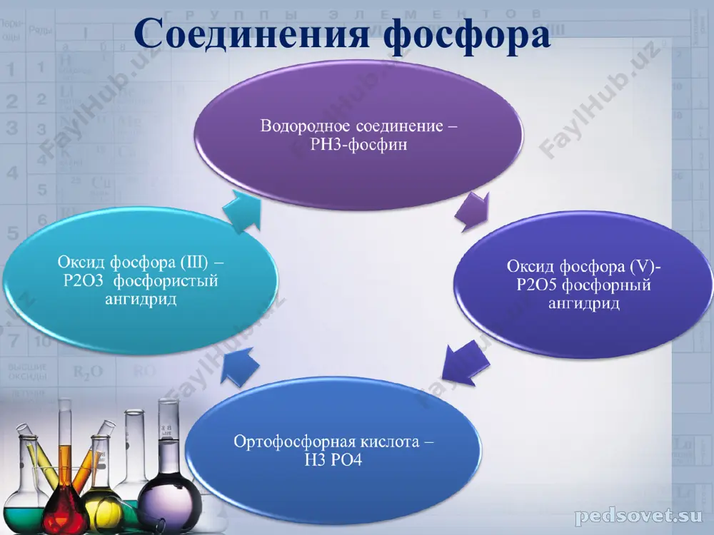 фосфорнинг ўсимликлар озиқланишидаги аҳамияти - Page 5