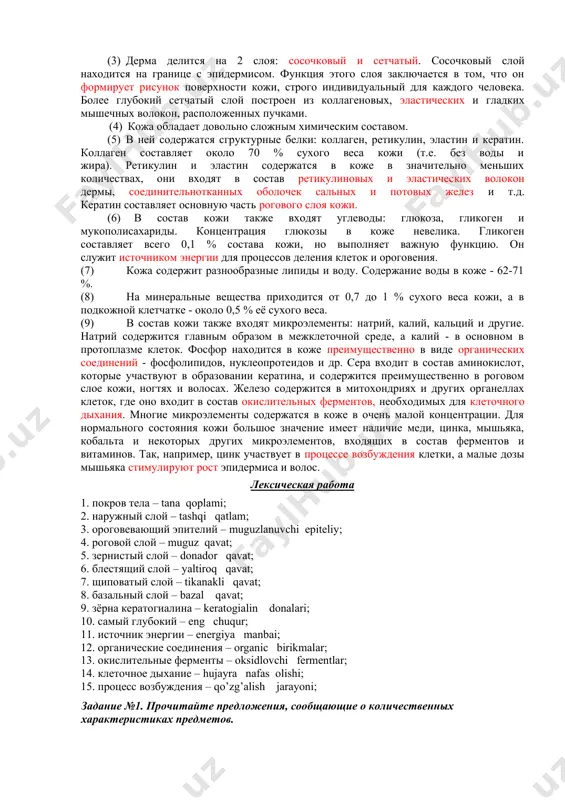 вый и сетчатый. сосочковый слой находится на границе с эпидермисом. функция этого слоя заключается в том, что он формирует рисунок поверхности кожи, строго индивидуальный для каждого человека. более глубокий сетчатый слой построен из коллагеновых, эластических и гладких мышечных волокон, расположенных пучками. (4) кожа обладает довольно сложным химическим составом. (5) в ней содержатся сгруктурные белки: коллаген, ретикулин, эластин и кератин. коллаген составляет около 70 % сухого веса кожи (т.е. без воды и жира). ретикулин и эластин содержатся в коже в значительно меньших количествах, они входят в состав ретикулиновых и эластических волокон дермы, соединительнотканных оболочек сальных и потовых желез и т.д. кератин составляет основную часть рогового слоя кожи. (6) в состав кожи также входят углеводы: глюкоза, гликоген и мукополисахариды. концентрация глюкозы в коже невелика. гликоген составляет всего 0,1 % состава кожи, но выполняет важную функцию. он служит источником энергии для процессов деления клеток и ороговения. (7) кожа содержит разнообразные липиды и воду. …