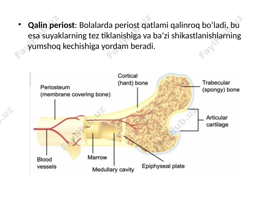 bolalar suyak shikastlanishlarining o‘ziga xosligi - Page 5