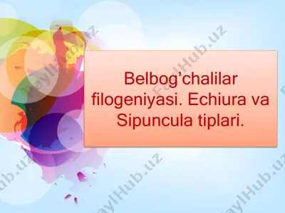 belbog’chalilar — PDF