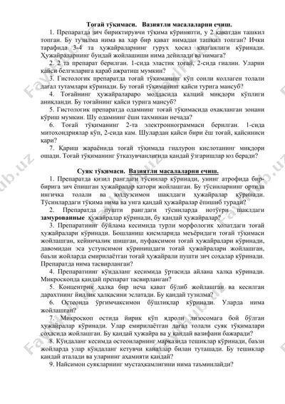 тоғай тўқимаси — DOCX