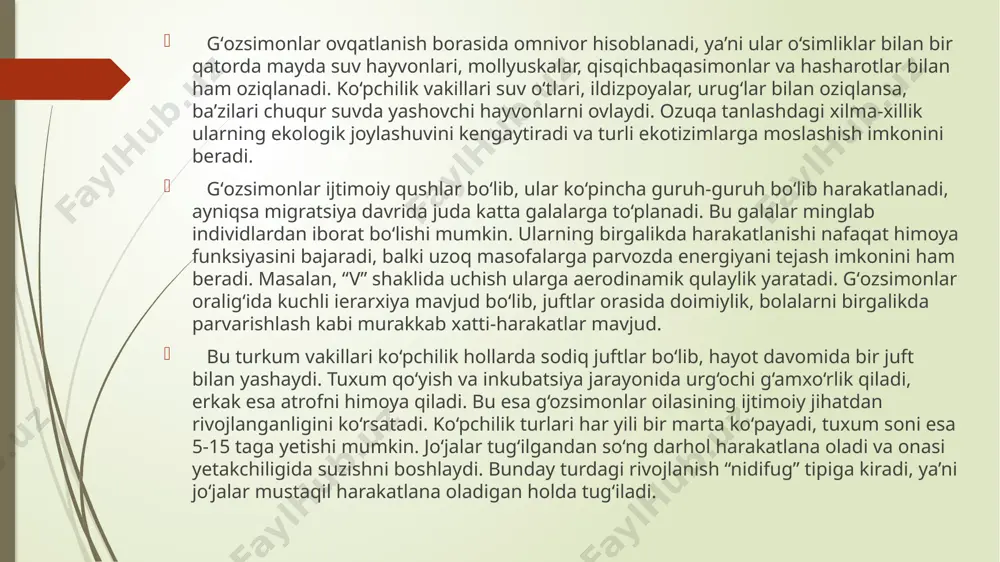 ani samarali tarzda qabul qilish imkonini beradi. gʻozsimonlar suv tubidagi qum, cho‘kindi va loyni titib, ulardan ozuqa tanlay oladi. bu esa ularning suvli ekotizimlar tozaligini saqlashdagi ahamiyatini yanada oshiradi. ekologik jihatdan qaralganda, gʻozsimonlar suv ekotizimlarining ajralmas va faol a’zosi hisoblanadi. ular ozuqa zanjirining muhim bo‘g‘ini bo‘lib, o‘zlari mayda hayvonlar bilan oziqlangani kabi, yirtqich qushlar, sut emizuvchilar va insonlar uchun ham ovqat manbai bo‘lib xizmat qiladi. ular suv havzalari ekotizimida modda almashinuvi va o‘simlik urug‘larini tarqatishda ishtirok etadi. masalan, suv o‘tlarining urug‘lari gʻozsimonlar ichaklarida hazm bo‘lmay, boshqa hududlarga tarqaladi, bu esa biologik xilma-xillikni saqlashda muhim rol o‘ynaydi. ko‘payish jarayoni gʻozsimonlar turkumida juda tartibli va mas’uliyatli tarzda kechadi. ular asosan bir juftli hayot tarzini kechiradi. juft tanlash jarayoni odatda bahor mavsumida sodir bo‘ladi. erkak gʻoz urg‘ochiga turli harakatlar, suzish, patlarini tarash, maxsus tovushlar chiqarish orqali yoqishga harakat qiladi. juftlashgandan so‘ng, ular qulay joyda – odatda qamishzorlar orasida, qirg‘oq yaqinida yoki suv ustidagi …