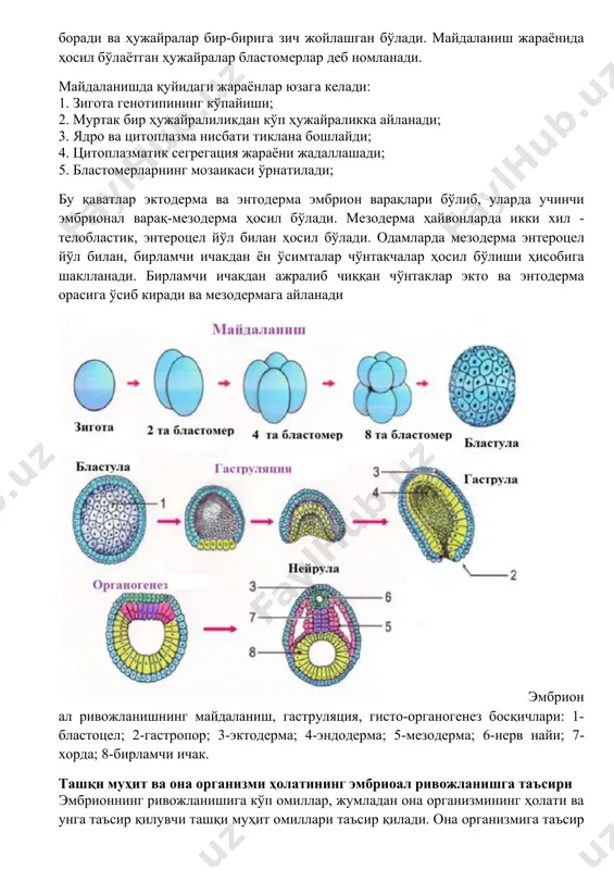 аминларнинг етишмаслиги, баъзи доривор моддалар алкоголь, гиёҳванд моддалар ва онадаги турли касалликлар ривожланаётган ҳомилага ўз таъсирини кўрсатади. бу эса ривожланаётган организмда турли салбий ўзгаришлар ҳосил бўлишига олиб келади. мустаҳкамлаш учун саволлар · 1. эмбриогенезнинг бошланиш ва тугалланиш муддатлари ҳақида нималарни биласиз? · 2. майдаланиш нима, унинг моҳиятини, митоздан фарқини айтинг. · 3. бластула, бластулатсия жараёнини изоҳланг, моҳиятини тушунтиринг. · 4. гаструла, гаструлатция жараёнини изоҳланг. · 5. гаструлатциянинг қандай типларини биласиз? уларни изоҳлаб беринг. · 6. мезодерманинг ҳосил бўлиш усулларини биласизми? · 7. мезодерманинг қандай сомитларини биласиз? · 8. гисто-органогенез жараёнининг моҳиятитни тушунтиринг. · 9. ҳомила варақларидан қандай аъзолар ҳосил бўлади? · 10. сомитлардан қандай аъ золар ва системалар шаклланади? · 11. провизор аъзолар, уларнинг турлари ва аҳамиятини тушунтиринг. вазиятга доир масалалар · 1. ўлик туғилган чақалоқнинг ҳазм системаси ривожланишида ўзгаришлар кузатилган. бунда қайси ҳомила варағ и ривожланиши шикастланган? яна қайси аъзо ва системалар шикастланиши кузатилиши мумкин? · 2. майдаланишда ҳужайралар …