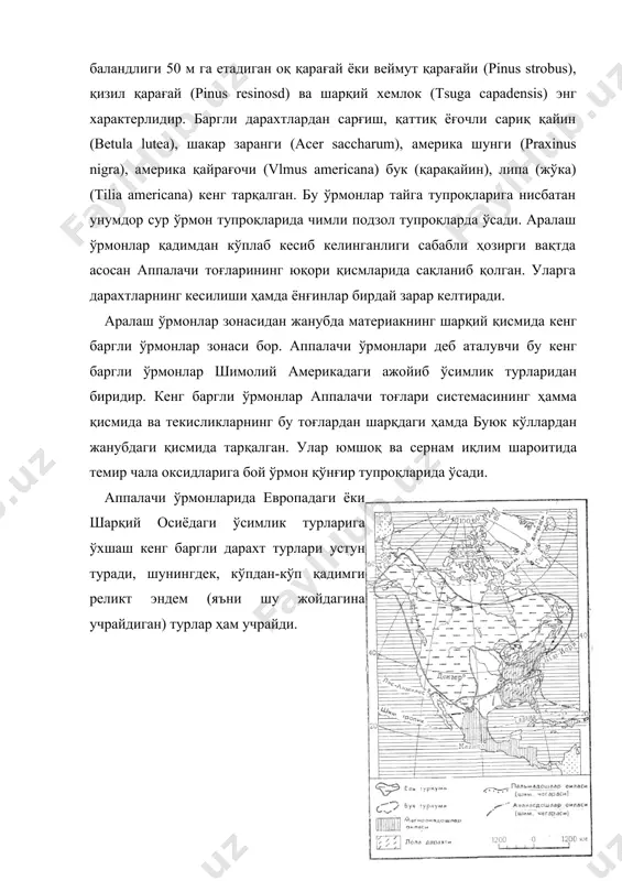 кар заранги (acer saccharum), америка шунги (praxinus nigra), америка қайрағочи (vlmus americana) бук (қарақайин), липа (жўка) (tilia americana) кенг тарқалган. бу ўрмонлар тайга тупроқларига нисбатан унумдор сур ўрмон тупроқларида чимли подзол тупроқларда ўсади. аралаш ўрмонлар қадимдан кўплаб кесиб келинганлиги сабабли ҳозирги вақтда асосан аппалачи тоғларининг юқори қисмларида сақланиб қолган. уларга дарахтларнинг кесилиши ҳамда ёнғинлар бирдай зарар келтиради. аралаш ўрмонлар зонасидан жанубда материакнинг шарқий қисмида кенг баргли ўрмонлар зонаси бор. аппалачи ўрмонлари деб аталувчи бу кенг баргли ўрмонлар шимолий америкадаги ажойиб ўсимлик турларидан биридир. кенг баргли ўрмонлар аппалачи тоғлари системасининг ҳамма қисмида ва текисликларнинг бу тоғлардан шарқдаги ҳамда буюк кўллардан жанубдаги қисмида тарқалган. улар юмшоқ ва сернам иқлим шароитида темир чала оксидларига бой ўрмон қўнғир тупроқларида ўсади. аппалачи ўрмонларида европадаги ёки шарқий осиёдаги ўсимлик турларига ўхшаш кенг баргли дарахт турлари устун туради, шунингдек, кўпдан-кўп қадимги реликт эндем (яъни шу жойдагина учрайдиган) турлар ҳам учрайди.