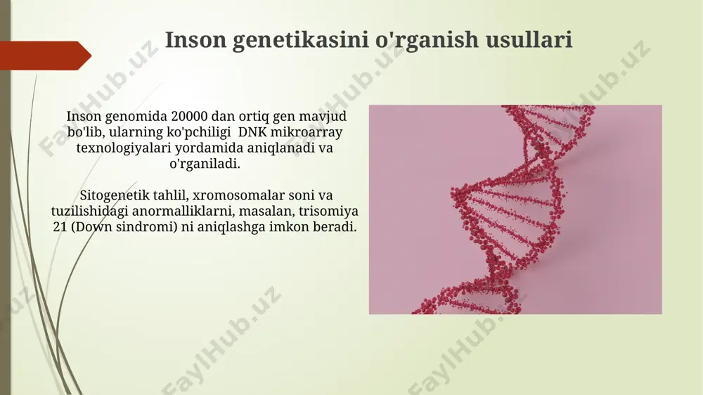 bo'lishi mumkin. kasalliklarni oldini olish sog‘lom turmush tarzini olib borish, to‘g‘ri ovqatlanish va zararli odatlardan voz kechish orqali genetik omillar ta’siriga moyillikni 15-20% ga kamaytirish mumkin. genetik kasalliklar xavfini kamaytirish uchun 30 yoshdan oshgan ayollarda homiladorlikdan oldin genetik skriningdan o‘tish tavsiya etiladi, bu xromosom anomaliyalarini aniqlash ehtimolini oshiradi. sitogenetika usullari sito genetik tekshiruvlar orqali 23 juft xromosomaning tuzilishi va sonini aniqlash mumkin, bu tug'ma nuqsonlarni erta aniqlashga yordam beradi. fish (fluorescent in situ hybridization) texnologiyasi yordamida xromosomalarga xos dnk ketma-ketligini aniqlash orqali, 5 dan ortiq genetik kasalliklarni aniqlash mumkin. e'tiboringiz uchun rahmat @taqdimot_robot image1.jpg image2.jpg image3.jpg image4.jpg image5.jpg image6.jpg image7.jpg image8.jpg image9.jpg image10.jpg image11.jpg image12.jpg