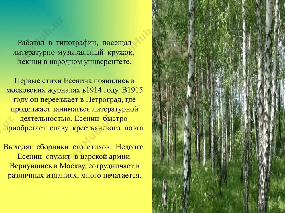 сергей александрович есенин. 8 - sinf - Page 5