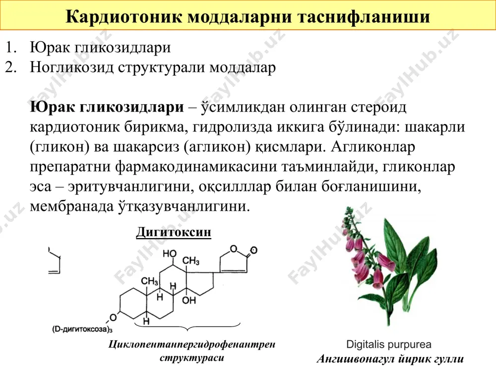 камайтириш лозим, интоксикацияни олдини олишда. фақат ўюе қўлланиладиган юрак гликозидлари 3. строфантин (strophantinum k, 0,025 % и 0,05 % р-р амп. 1 мл дан) – поляр препарат, митда деярли сўрилмайди. глюкоза эритмасида вена ичига секин юборилади: таъсири 5-10 дақиқадан кейин бошланади, максимал таъсир – через 15-30 дақ. қон плазма оқсиллари билан деярли боғланмайди ва кумуляция кузатилмайди; организмдан 24 соатдан кейин тулиқ чиқади. 4. коргликон – марваридгул баргларидаги гликозидларни сақловчи препарат. таъсир характери ва фармакокинетикаси строфантик к га яқин, фақат узоқроқ таъсир қилади: таъсири 5-10 дақиқадан кейин бошланади, максимал таъсир – 0,5-2 соатдан кейин, таъсири 1-3 кун давом этади. марваридгул (convallária majális) юг фармакокинетикаси 1. нополяр препаратлар (дигоксин, дигитоксин): а) скелетной мускулатурада йиғилади, организмга киритилган дозадан фақатгина 1 % миокард тўқимасига тушади: мускулатураси емон ривожланган ва нефронлардаги фильтрация жараени пасайган беморларда юрак гликозидларини қонда купаяди; б) юг қон плазмасида оқсиллар билан деполанади, тиреотоксикозда юг қон оқсили билан боғланиши ошади, гипотиреозда – …