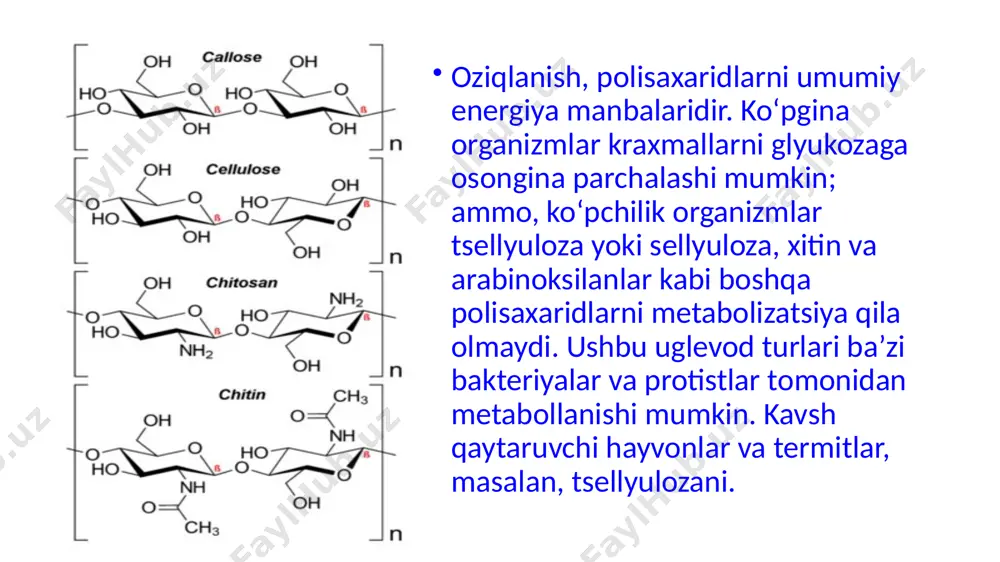p gazlamalar ham sellulozadan qilingan buyumlar hisoblanadi. yog‘och tarkibida ham ko‘p miqdorda uchraydi. selluloza selluloza ham xuddi kraxmalga o‘xshab tabiiy yuqori molekular polimeridir. selluloza va kraxmalning umumiy formulasi ham o‘xshash va tarkibi jihatdan ham glukoza zvenolaridan iborat. bu polisaxaridlar bir-biridan glukoza qoldig‘ining har xil bog‘lanishi bilan farq qiladi. kraxmal inson uchun muhim ovqat hisoblansa, sellulozadan bu maqsadda foydalanib bo‘lmaydi. fizik xossalari selluloza – mazasiz, hidsiz, tolasimon oq modda, suvda erimaydi, sellulozaning molekular massasi juda katta hisoblanadi. kraxmal selluloza kimyoviy xossalari selluloza “kumush ko‘zgu” reaksiyasini bermaydi (aldegid guruhi yopiq). selluloza kislotalarda eritilganda qisman gidrolizlanadi. bunda glukoza hosil bo‘ladi. (c6h10o5)n + (n-1)h2o nc6h12o6 selluloza glukoza h2so4 , t0 kimyoviy xossalari selluloza ham yonadi. bunda uglerod(iv) oksid va suv hosil bo‘ladi. (c6h10o5)n + 6no2 6nco2 + h2o foydalanilgan adabiyotlar: 1. y.x.to’raqulov. bioximiya, toshkent, "o’zbekiston", 1996. 2. a.qosimov, q.qo’chqorov, s.teshaboyev. bioximiya, toshkent, "ўqituvchi", 1988. 3. a.imomaliyev, a.zikriyoyev. o’simliklar bioximiyasi, toshkent, "mehnat", 1987. 4. y.b.filippovich. …