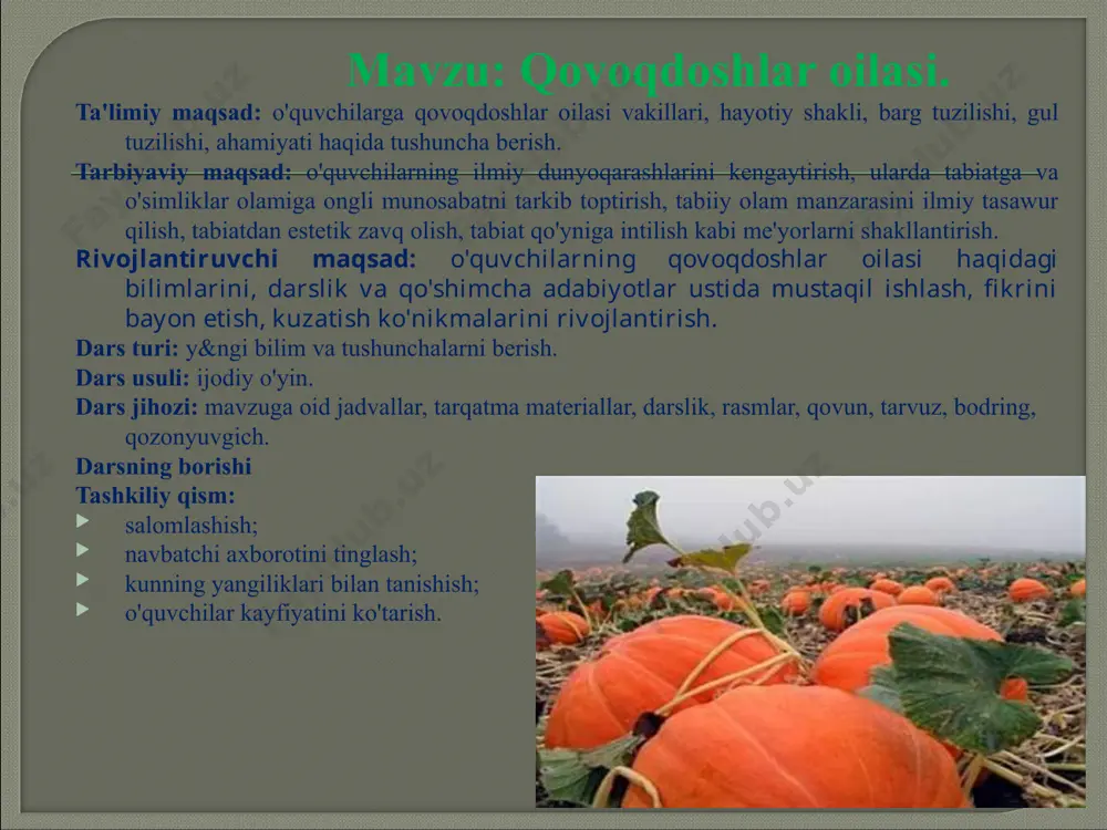 hilgan, 1 tasi erkin. urug’chilari 3ta yer yuzida mazkur oilaga mansub 800 ga yaqin, o’zbekistonda esa 18 tur o’simlik o’sadi. www.aim.uz www.aim.uz www.aim.uz qovoqdoshlar oilasiga asosan bir yillik va ko’p yillik o’tlar kiradi. ularning poyasi o’rmalab yoki jingalaklari bilan ilashib o’sadi. gullari to’g’ri, ayrim jinsli, hasharotlar yordamida changlanadi. gulkosachasi 5 ta, gultoji 5 ta gultojibarglarning qo’shilishidan hosil bo’lgan. changchilari 5 ta, ulardan 4 tasi 2 tadan juft bo’lib qo’shilgan, 1 tasi erkin. urug’chilari 3ta qovoqdoshlarga mansub o’simliklarning gullari ayrin jinsli bo’lganligi uchun ularning changchi va urug’chi gullariga alohida- alohida formula va diagrammalar beriladi. qovoqdoshlarning mevasi-etdor, sersuv, soxta qovoq meva. qovoqdoshlar oilasi www.aim.uz www.aim.uz qovoqdoshlarga mansub o’simliklarning gullari ayrin jinsli bo’lganligi uchun ularning changchi va urug’chi gullariga alohida- alohida formula va diagrammalar beriladi qovoqdoshlarning mevasi-etdor, sersuv, soxta qovoq meva. o’zbekistonda ko’plab ekiladigan bu oilaga mansub o’simliklardan biri oshqovoq (oyim qovoq ) dir. www.aim.uz oshqovoq- qovoq turkumiga mansub bir yillik poliz o’simlikdir. …
