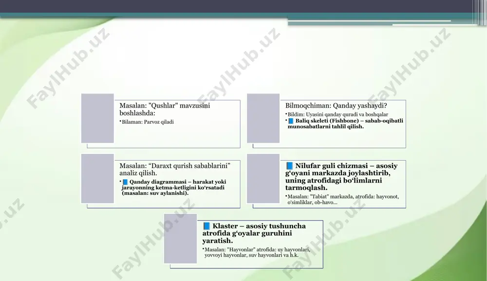 grafikli organayzerlar - Page 5