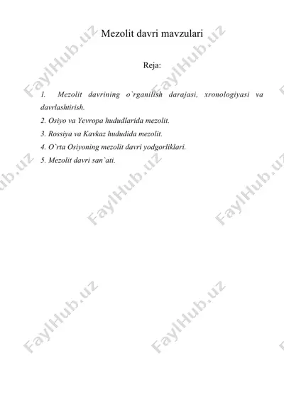 mezolit davri mavzulari — DOCX