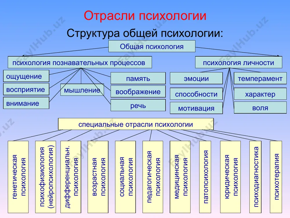 монологическая диалогическая функции речи: 1. коммуникативная 2. номинативная 3. экспрессивная 4. обобщающая 5. средство мышления 6. индикативная виды речи виды речи виды речи виды речи виды речи виды речи письменная устная внешняя внутренняя монологическая диалогическая виды речи письменная устная внешняя внутренняя монологическая диалогическая виды речи письменная устная внешняя внутренняя монологическая диалогическая виды речи письменная устная внешняя внутренняя монологическая диалогическая виды речи воображение виды воображения пассивное преднамеренное непреднамеренное способы синтезирования представлений в процессе воображения аглюти- нация типизация схемати- зация заострение гипербо- лизация активное воссоздающее творческое темперамент типы темперамента по и.п. павлову на основе свойств нервной системы: 1. сильный, уравновешенный, подвижный - сангвиник 2. сильный, уравновешенный, инертный - флегматик 3. сильный, неуравновешенный, подвижный - холерик 4. слабый – меланхолик сензитивность реактивность активность темп реакций пластичность-ригидность эмоциональ-ность свойства темперамента эмоции виды эмоций отрицательные положительные нейтральные побуди-тельная коммуни-кативная регулятив-ная сигналь-ная защитная функции эмоций чувства амбивалентность сила глубина свойства чувств основы социальной психологии общение три …