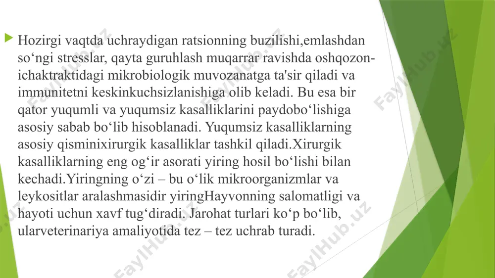 veterineriya jarrohlik amaliyotlari - Page 5